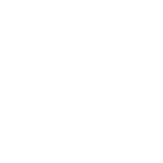 Overnight 24H