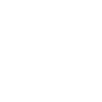 Basis Datencheck inklusive